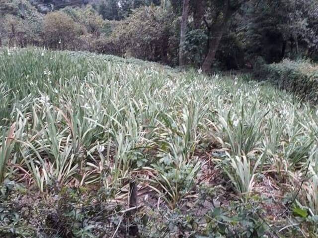 #1020 - Área para Venta en La Antigua Guatemala - Sacatepéquez - 1