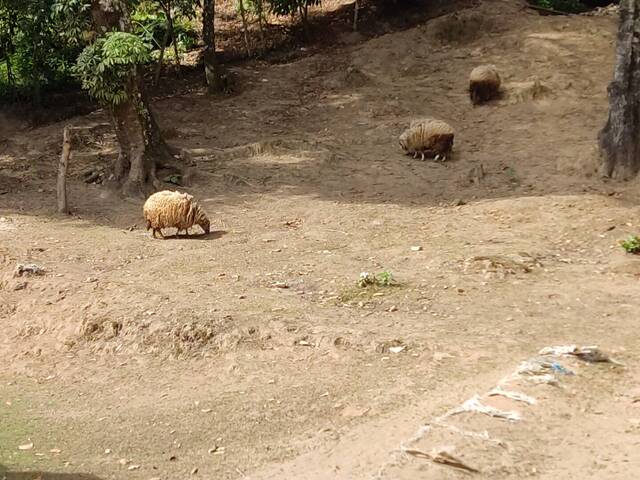 #2143 - Área para Venta en San Lucas Sacatepéquez - Sacatepéquez - 2