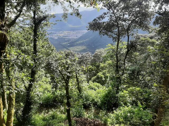 #2187 - Quinta para Venta en La Antigua Guatemala - Sacatepéquez - 2